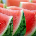 watermelon watermelon
