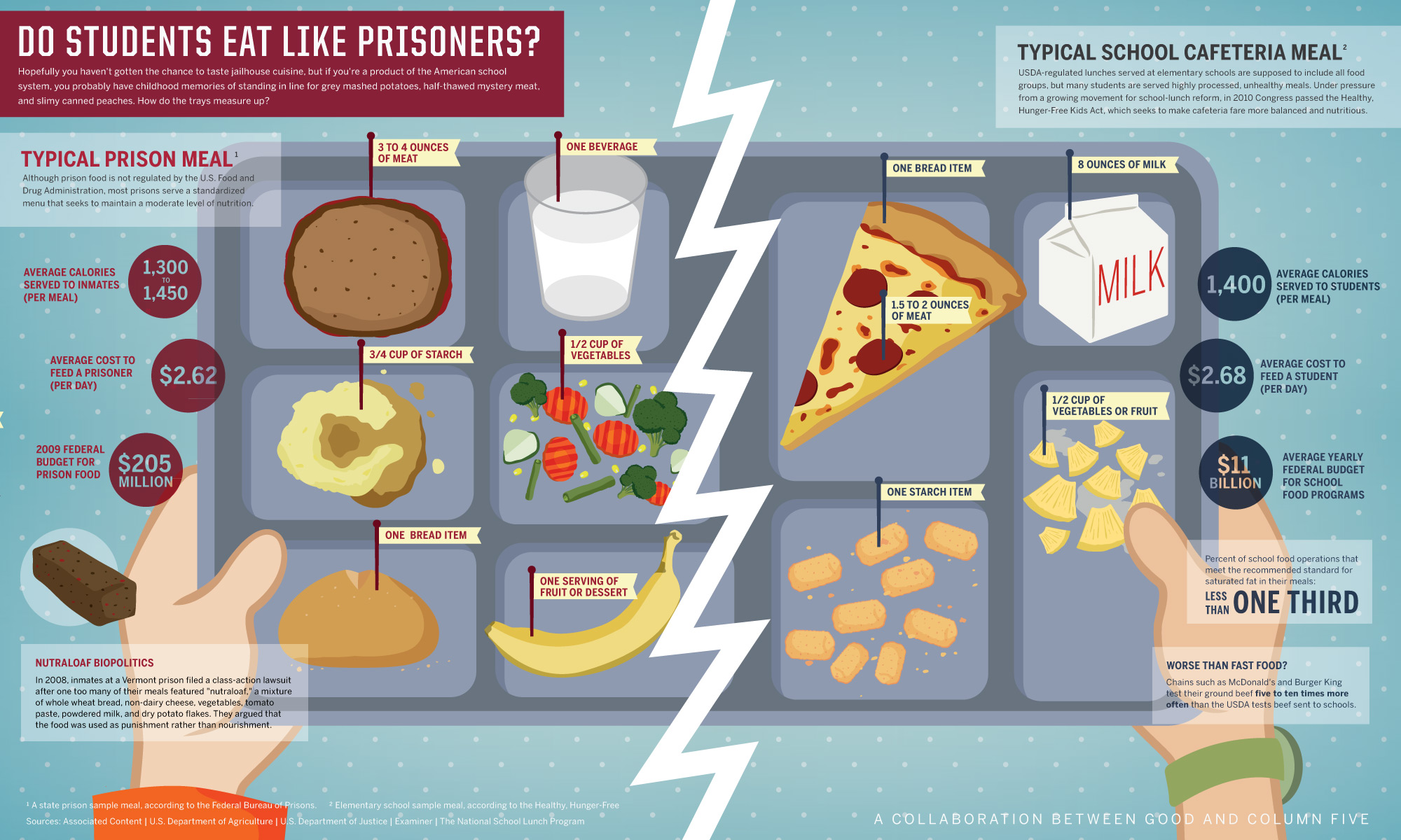 School Lunches Worse Than Prison Food Cari Shoemate school-lunches-worse-than-prison-food-cari-shoemate